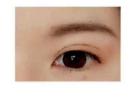 悦诗风吟眼影教程 画出撩人桃花眼