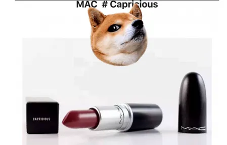 MAC capricious试色 玫瑰色情意足