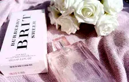 burberry红粉恋歌价格 甜美可爱的粉红女孩