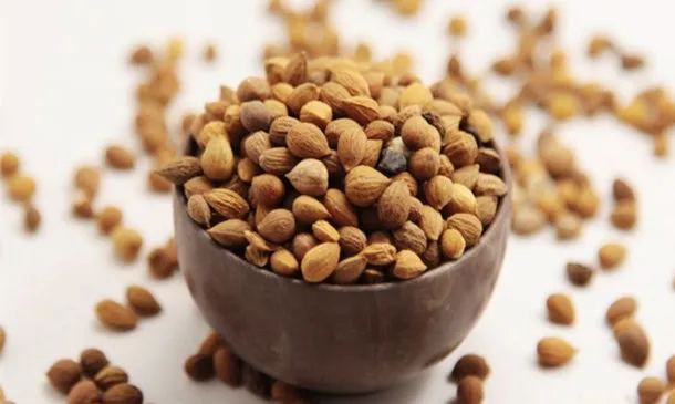 郁李仁的功效与作用和副作用、禁忌