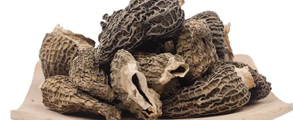 羊肚菌的功效与作用