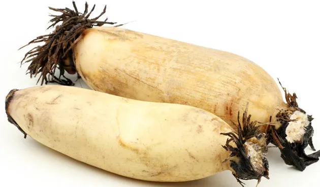 莲藕的营养价值及功效