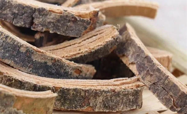 秦皮的功效与作用及食用方法