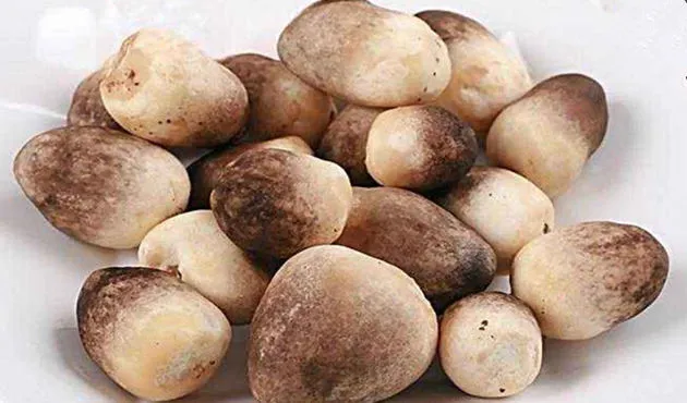 草菇的功效与作用及营养价值、禁忌