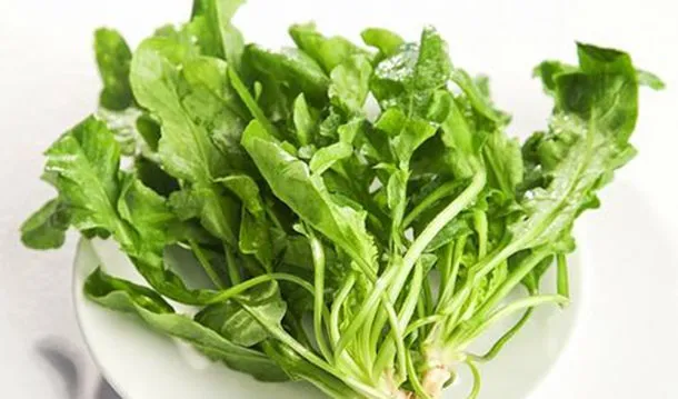 鸡心菜的营养价值及功效与作用