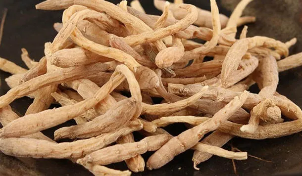 太子参的功效与作用及副作用、禁忌