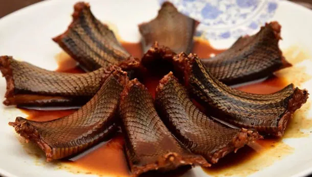 蛇肉的功效与作用及好处、禁忌