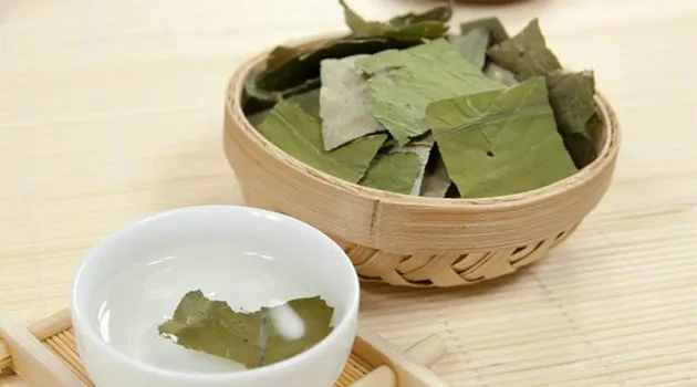 荷叶泡水喝的功效与作用