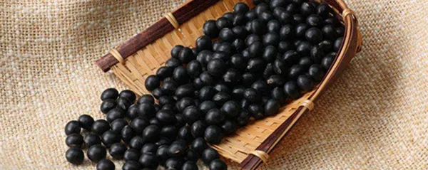 吃黑豆有什么好处