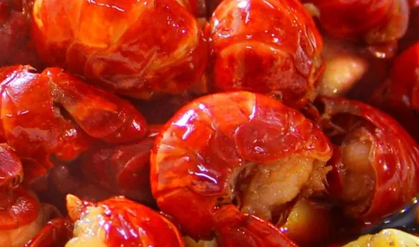 虾尾的功效与作用及禁忌