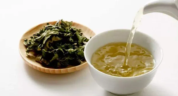 桑叶泡水的功效与作用