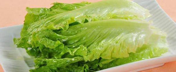 生菜的营养价值及功效