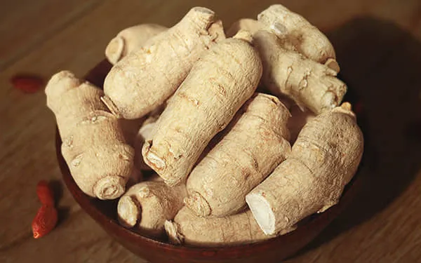 花旗参的功效与作用