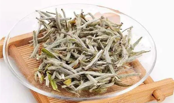 白茶的功效与作用及营养价值、禁忌