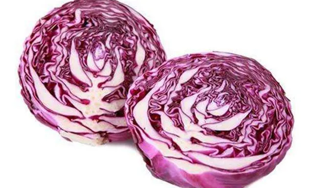 紫甘蓝的功效与作用及营养价值、禁忌