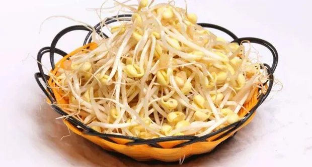 黄豆芽的功效与作用