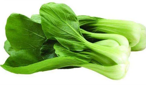 油菜的营养价值及禁忌
