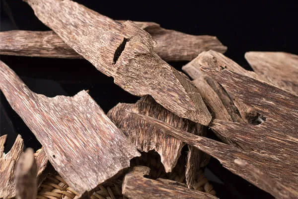 沉香的功效与作用、用法用量及禁忌