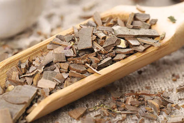 鬼箭羽的功效与作用、用法用量及禁忌