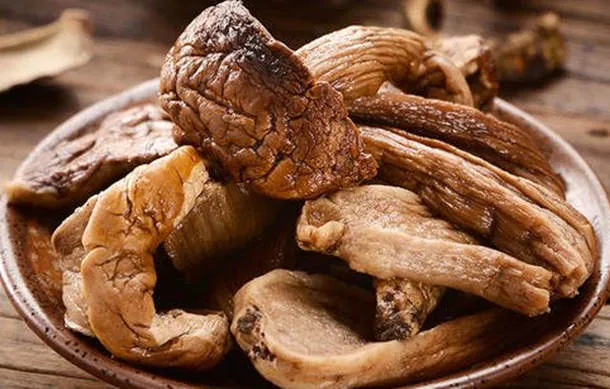 牛肝菌的作用与功效和好处、禁忌