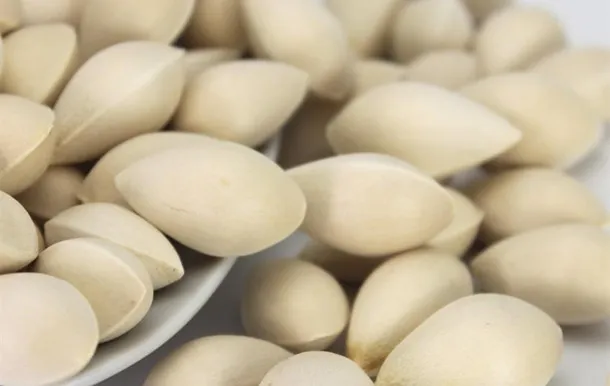银杏果的营养价值和功效与作用