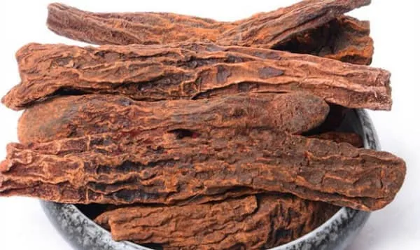 锁阳的功效与作用及禁忌