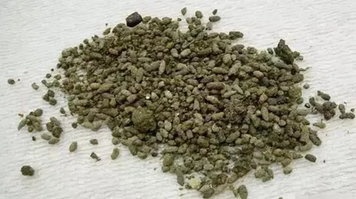 夜明砂的功效与作用及禁忌