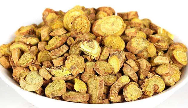 黄芩的功效与作用及副作用、禁忌