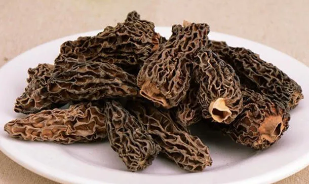 羊肚蘑的营养价值及功效与作用