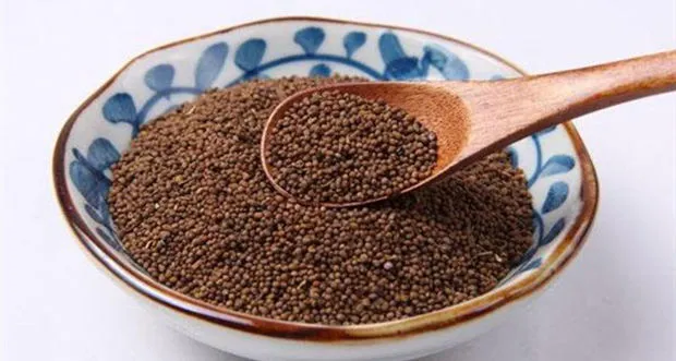 菟丝子茶的功效和作用