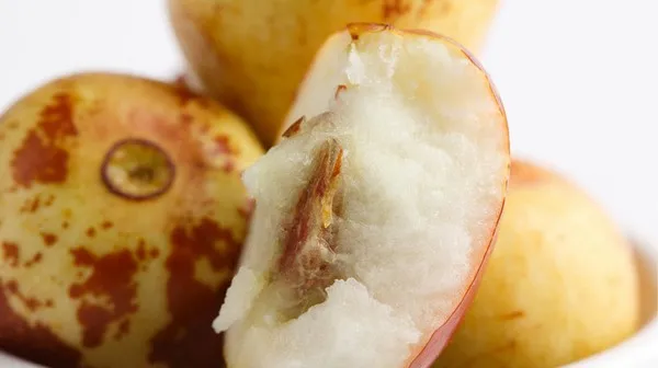 冬枣的功效与作用及禁忌