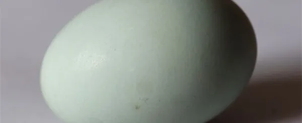 鸭蛋的营养价值及功效
