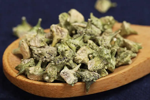刺蒺藜的功效与作用、用法用量及禁忌