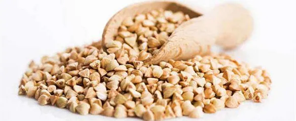 荞麦的功效与作用