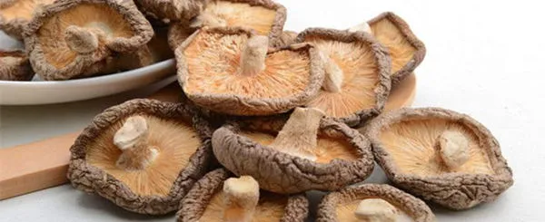 香菇的营养价值及功效