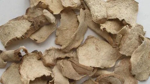绵萆薢的功效与作用及禁忌