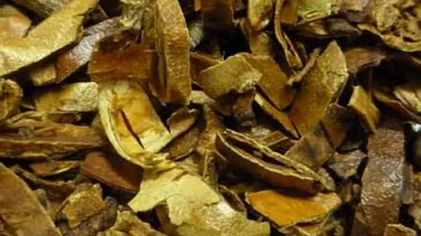 瓜萎皮的功效与作用及禁忌