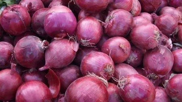 洋葱头的功效与作用及禁忌