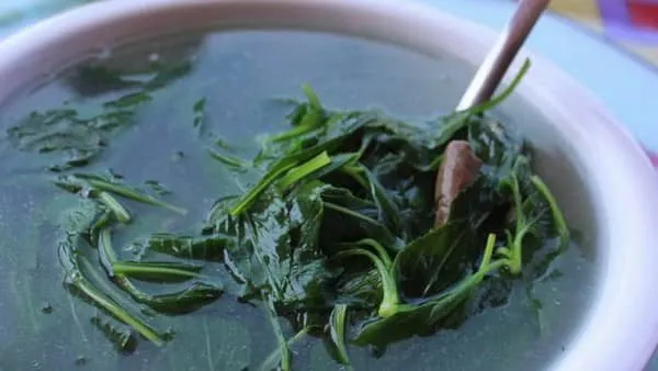 苦菜泡水的功效与作用及禁忌