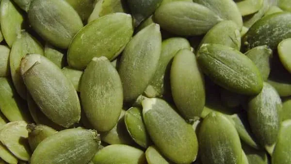 南瓜子仁的功效与作用及禁忌