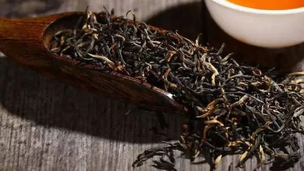 青茶的功效与作用及禁忌