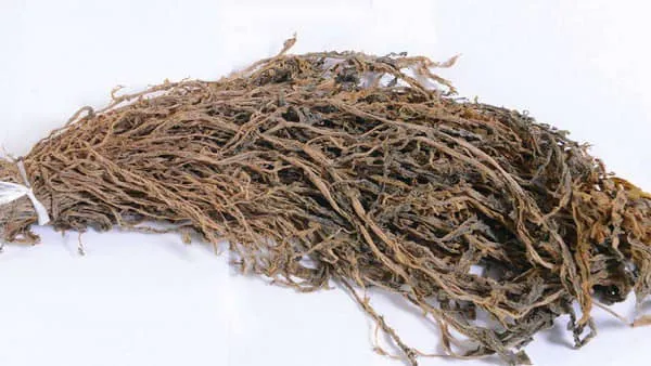 梅干菜的功效与作用及禁忌