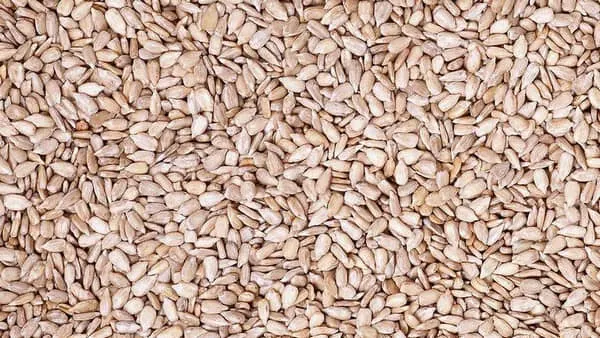 瓜子仁的功效与作用及禁忌