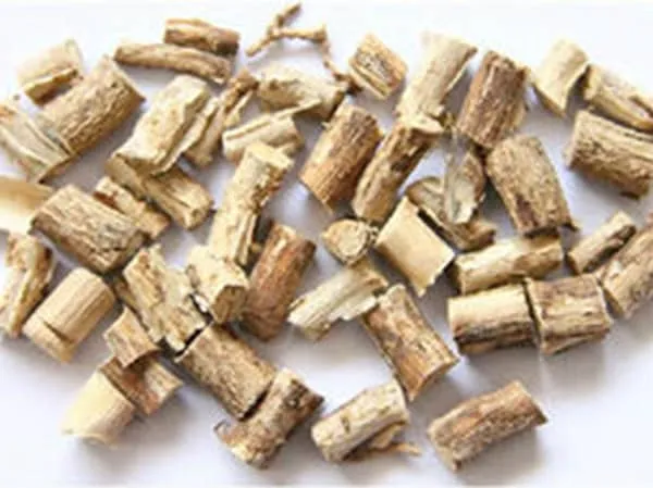 巴豆树根的功效与作用及禁忌