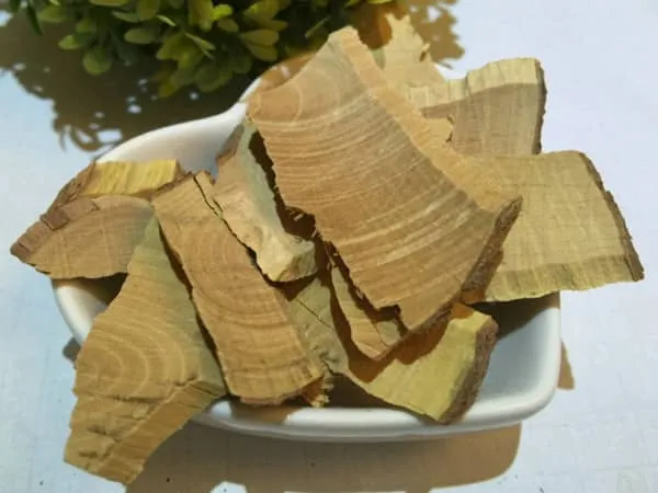 算盘子根的功效与作用及禁忌