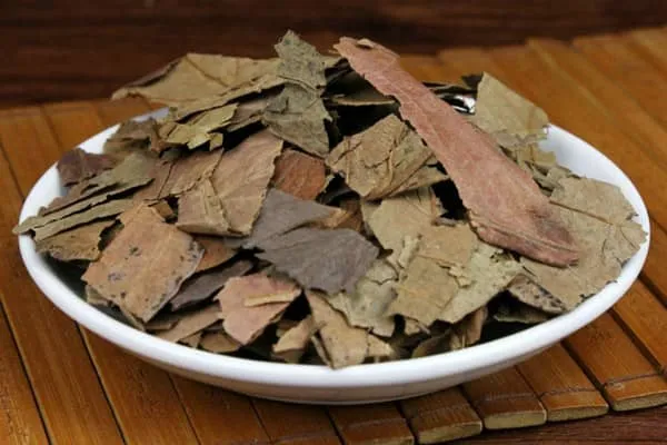 柿叶的功效与作用及禁忌