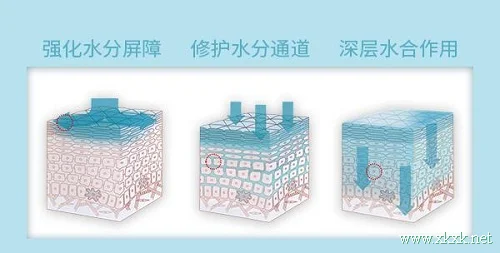 图片2.webp