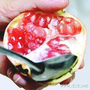 秋季吃什么减肥? 排毒减肥吃这4种蔬果