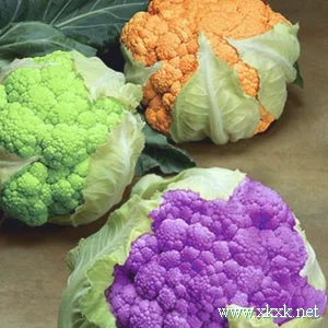 秋季吃什么减肥? 排毒减肥吃这4种蔬果