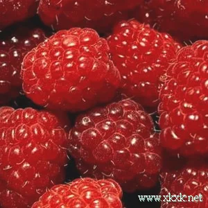 秋季吃什么减肥? 排毒减肥吃这4种蔬果
